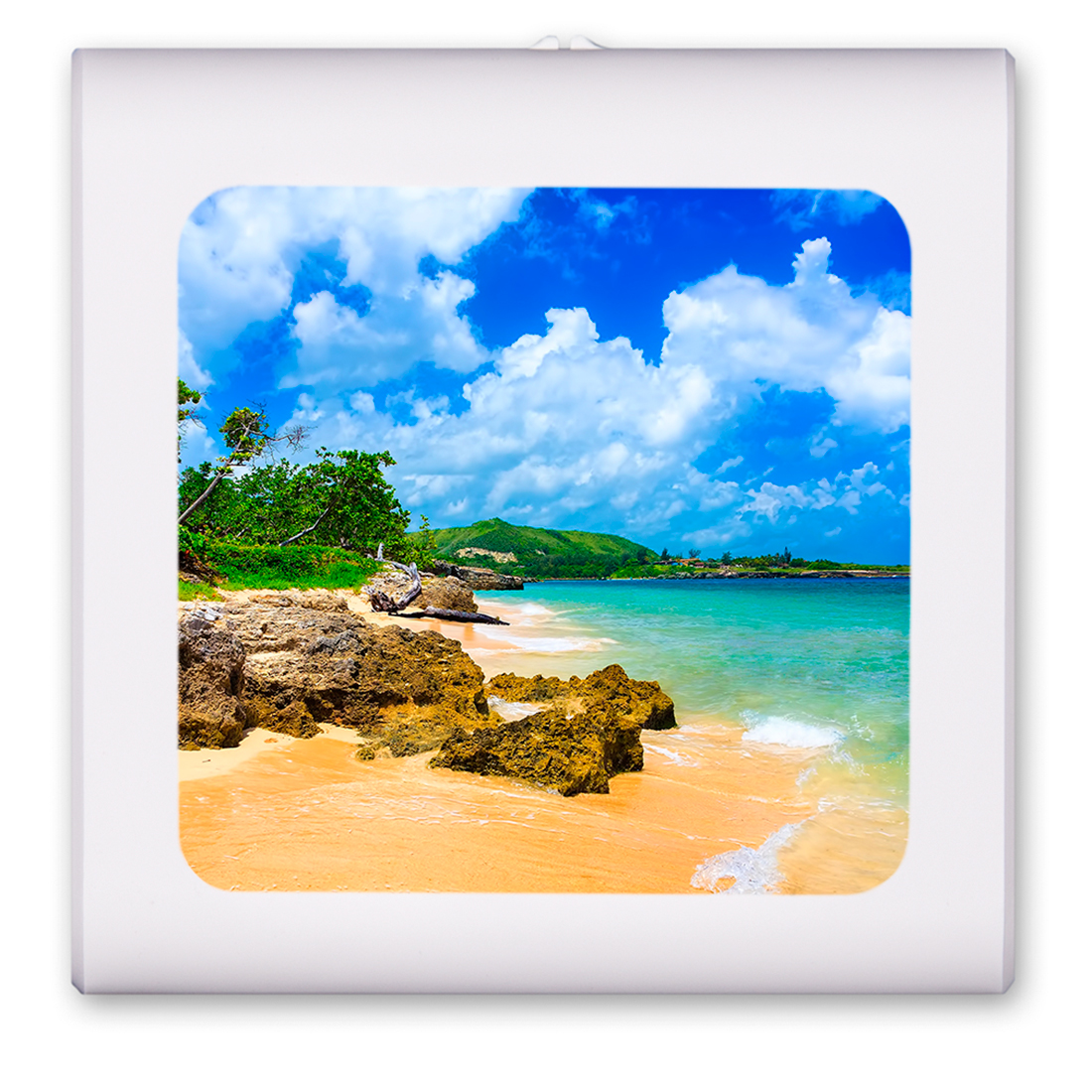 Jungle Side Beach - #2819