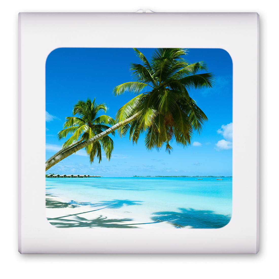 Two Palm Trees on Beach - #2823
