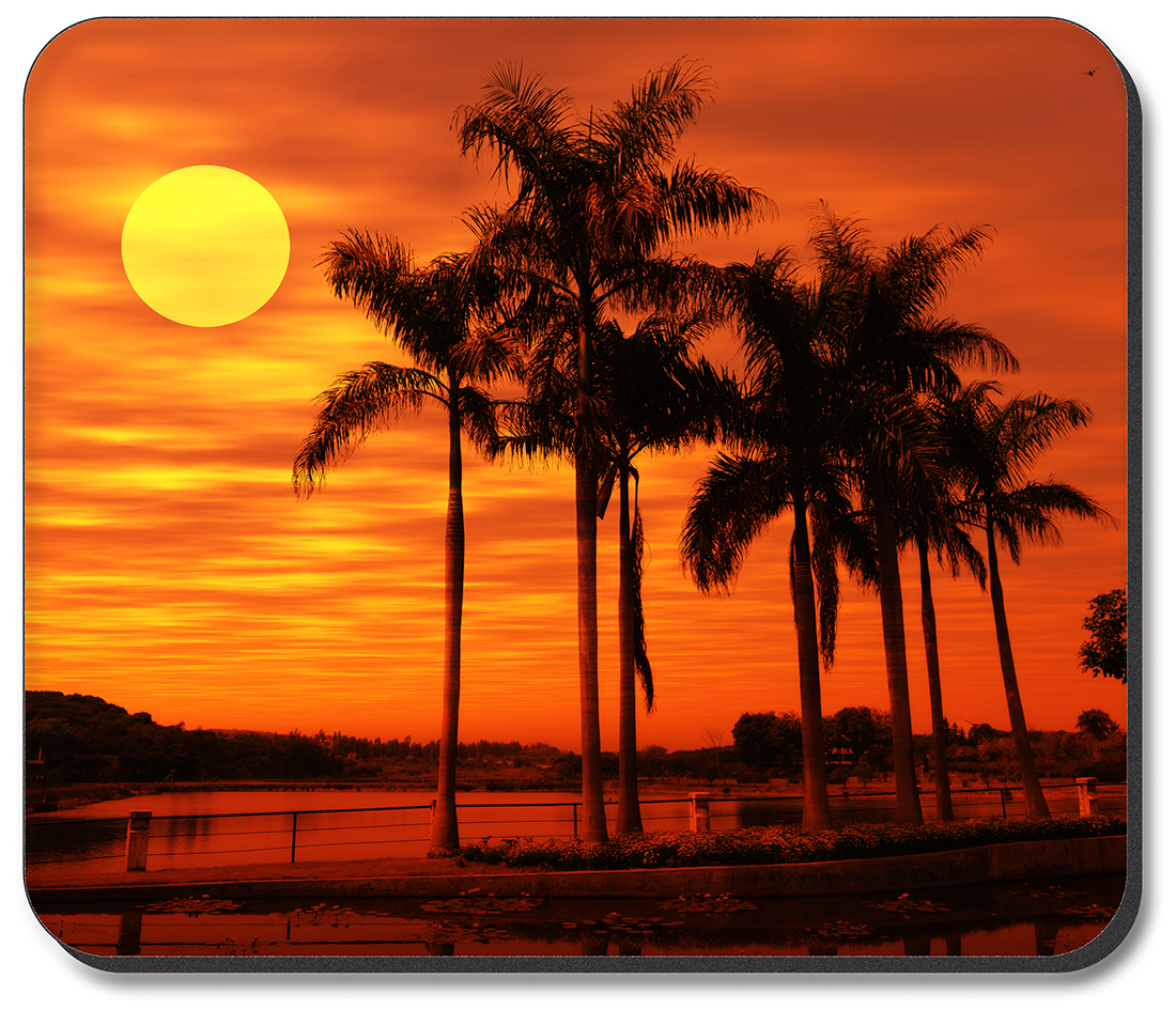 Orange Sunset on the Beach - #2827