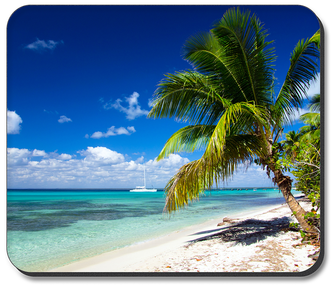 Beach and Palm - #2834