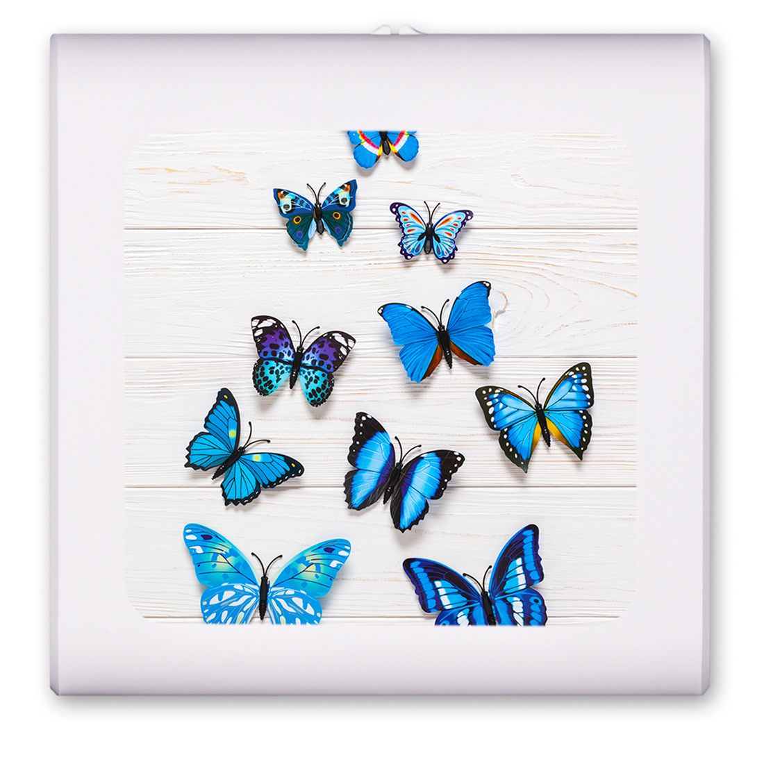 Blue Butterflies on Wood - #2850