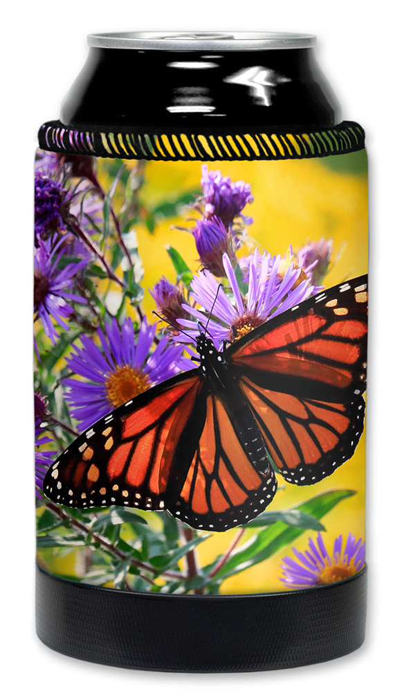 Monarch Butterfly on Purple Flower - #2851