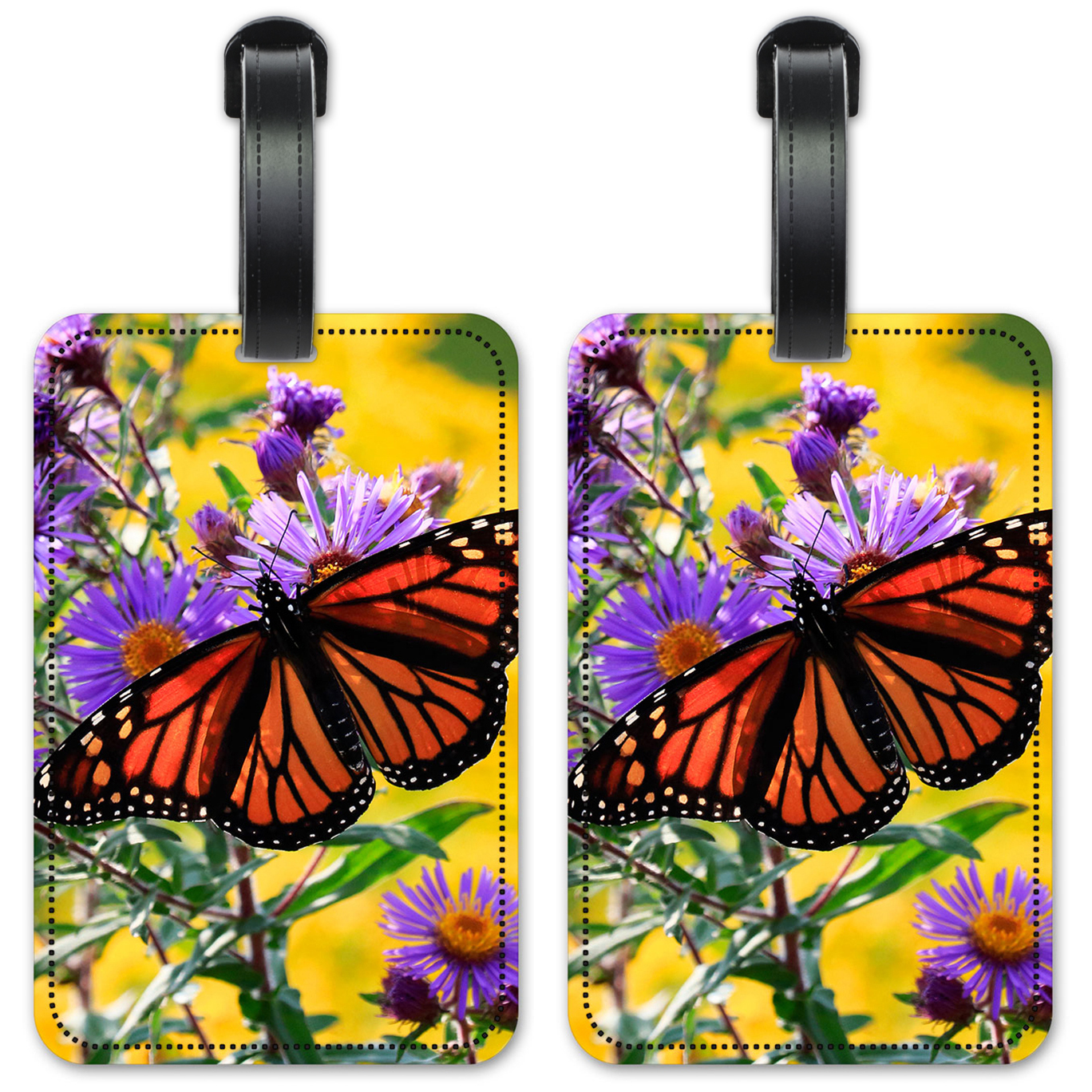 Monarch Butterfly on Purple Flower - #2851