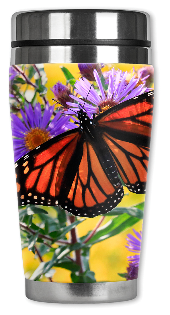 Monarch Butterfly on Purple Flower - #2851