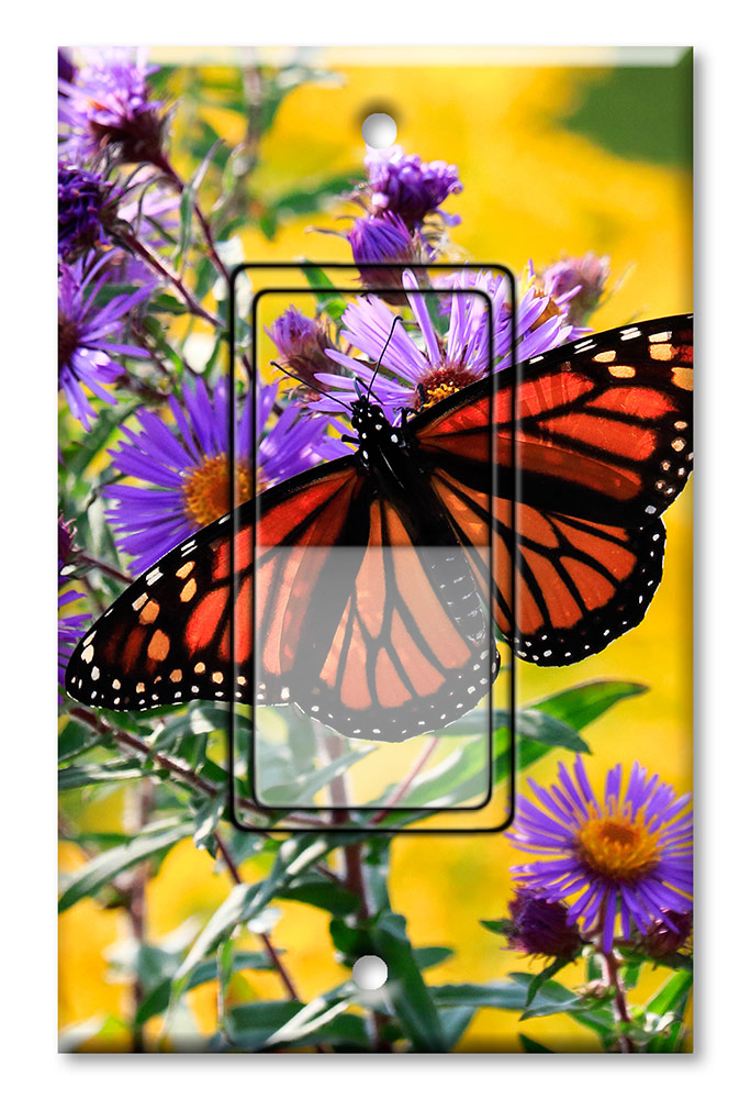 Monarch Butterfly on Purple Flower - #2851