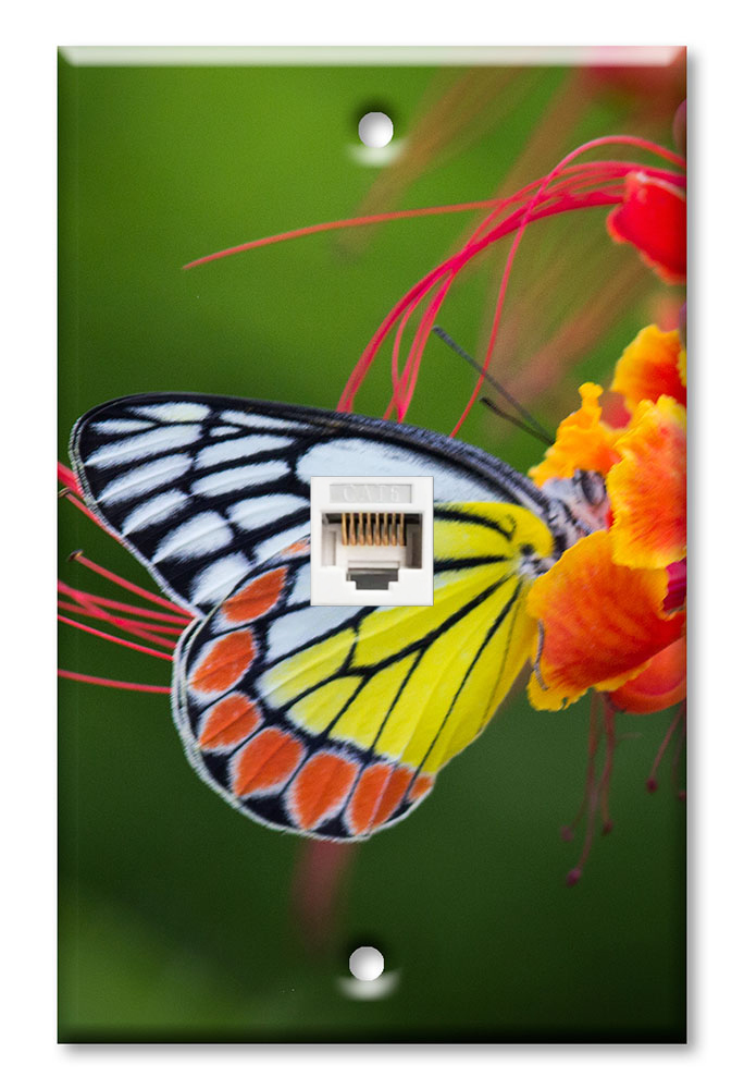 Yellow and White Butterfly - #2852