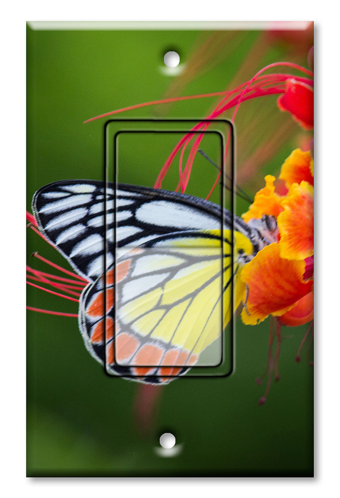 Yellow and White Butterfly - #2852