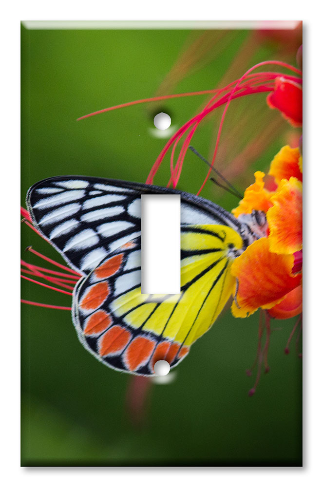 Art Plates - Decorative OVERSIZED Switch Plate - Outlet Cover - Yellow and White Butterfly