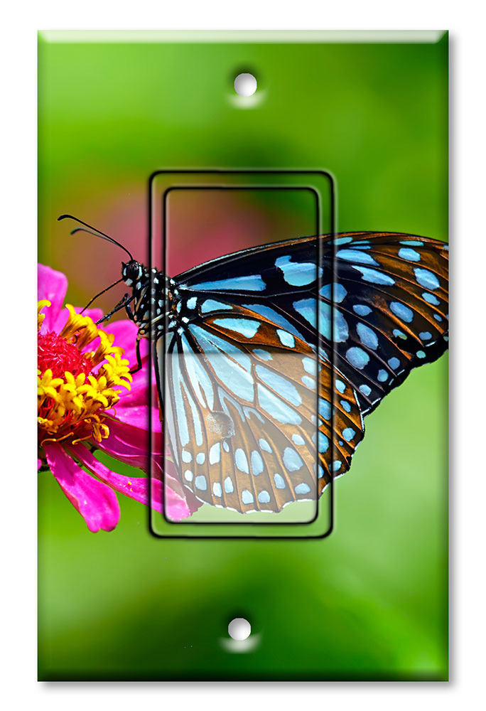 Blue and Black Butterfly - #2854