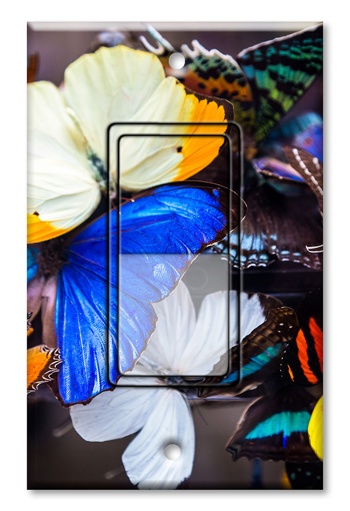 Colorful Butterflies - #2855
