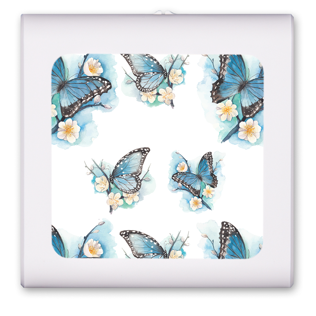 Blue Butterflies on White Flowers - #2856