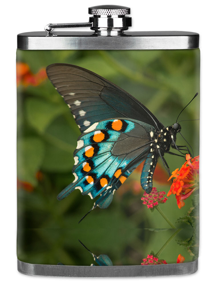 Blue, Black & Orange Butterfly - #2857