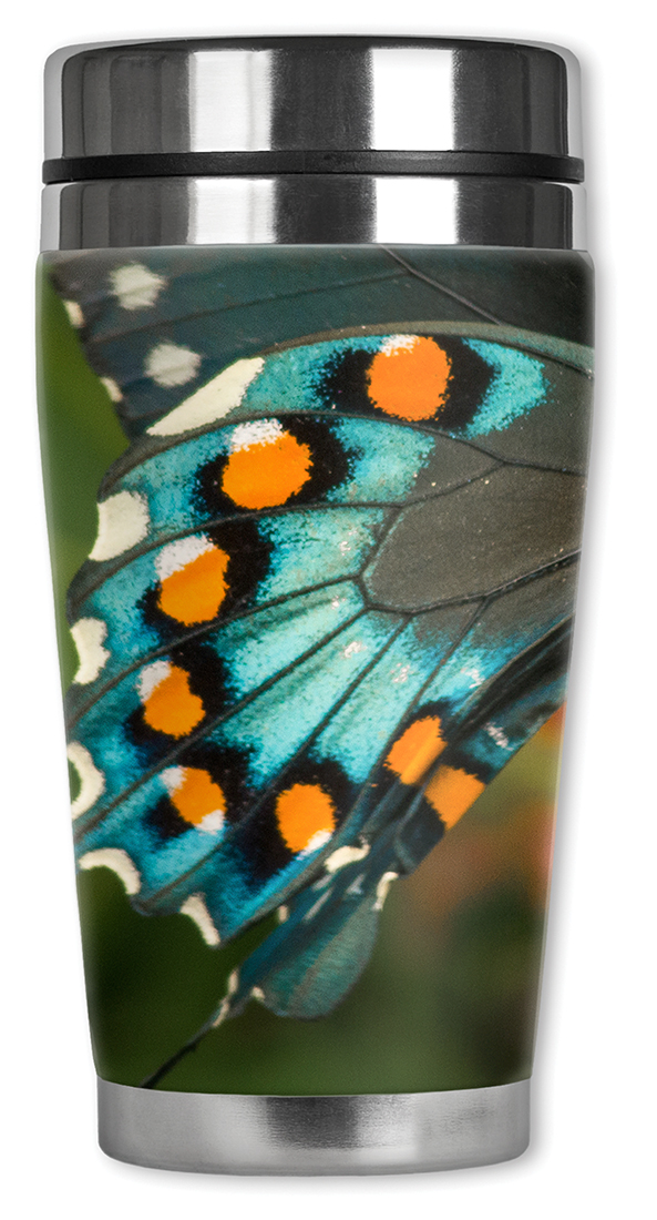 Blue, Black & Orange Butterfly - #2857