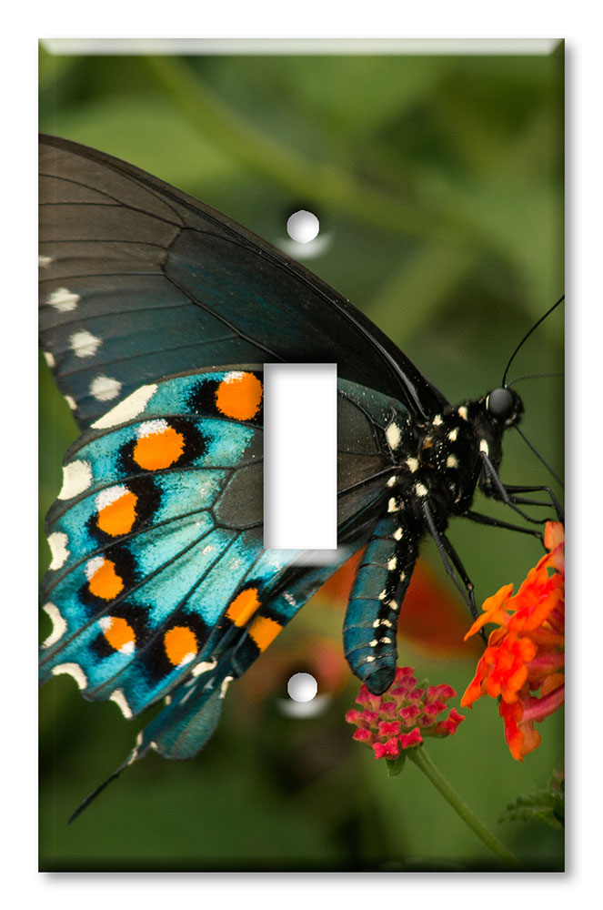 Art Plates - Decorative OVERSIZED Wall Plates & Outlet Covers - Blue, Black and Orange Butterfly