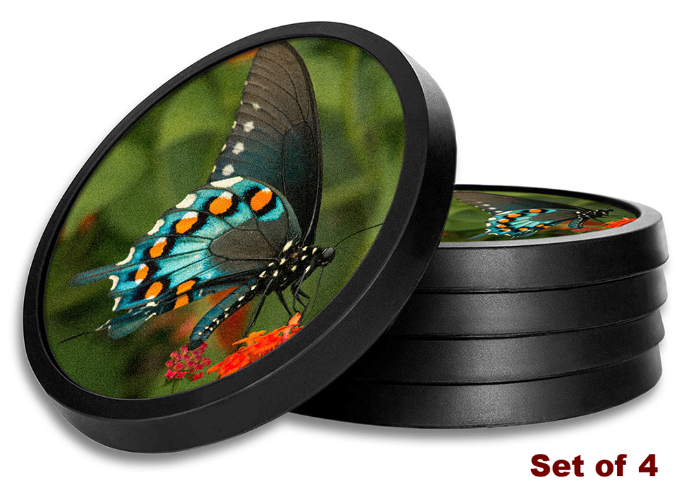 Blue, Black & Orange Butterfly - #2857