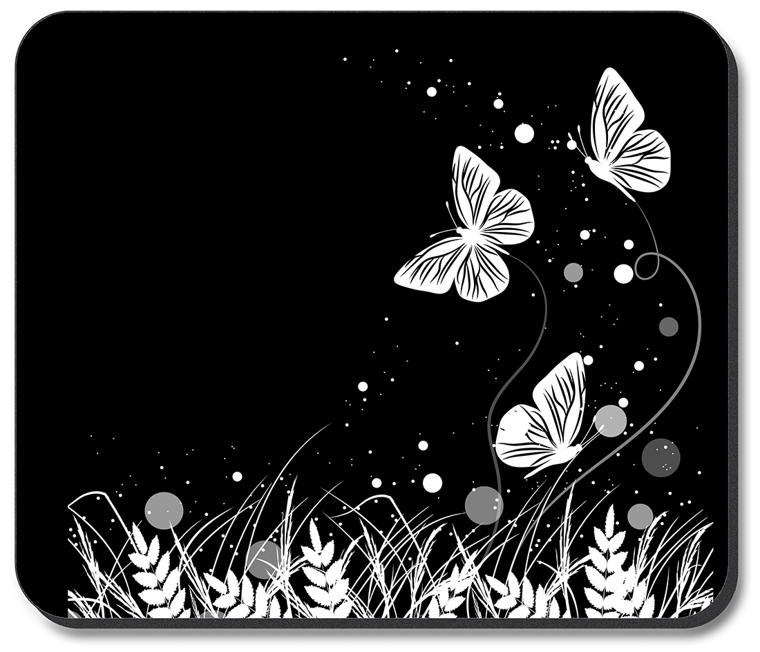 Black and White Butterfly - #2858