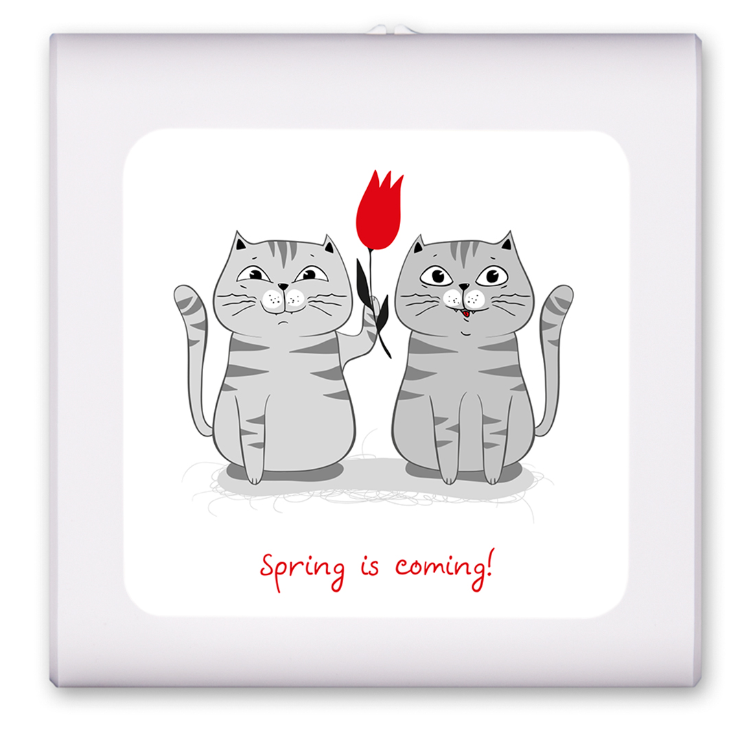 Spring is Coming - Two Cats - #2866