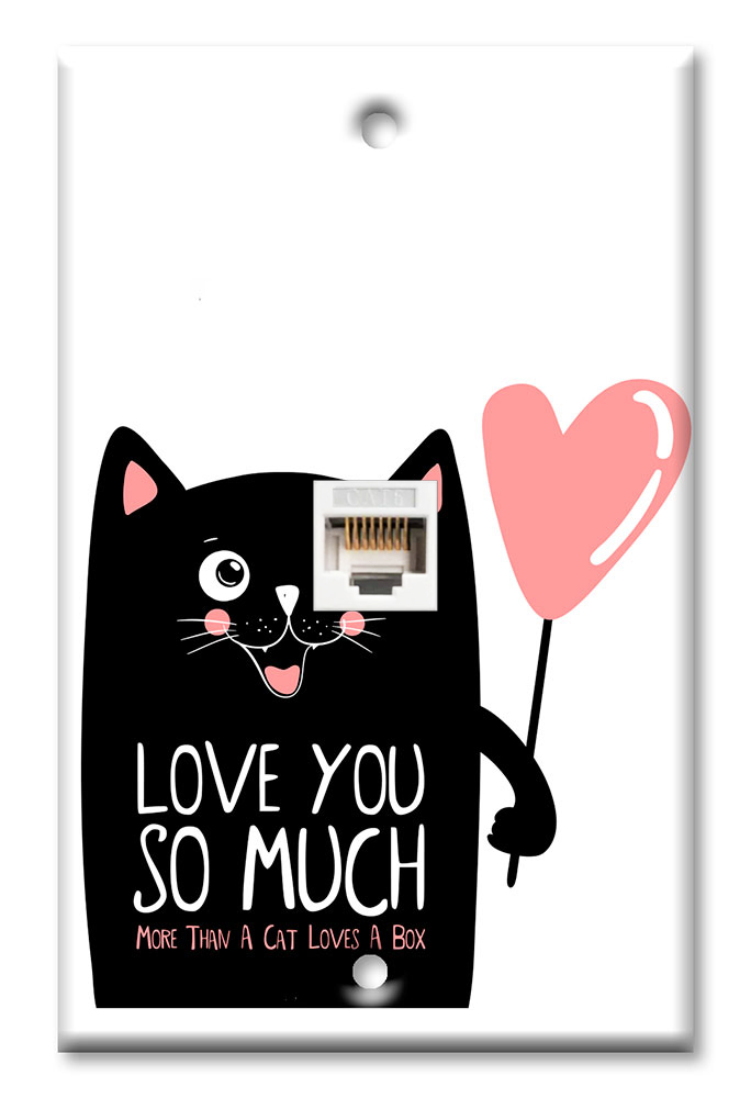 Cat Love's You More than a Box - #2881
