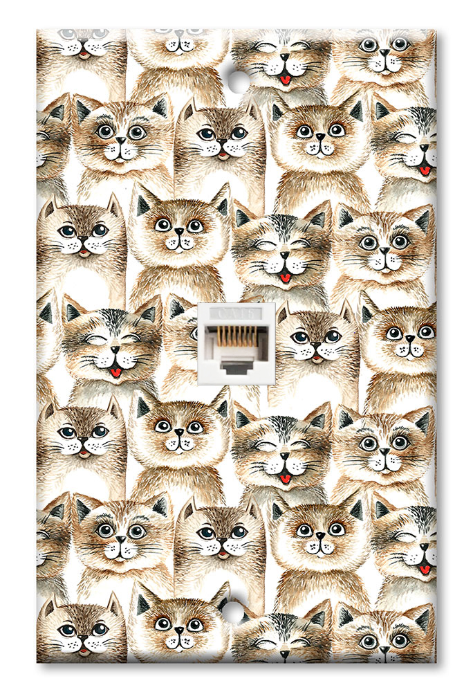 Brown Cat Toss - #2883