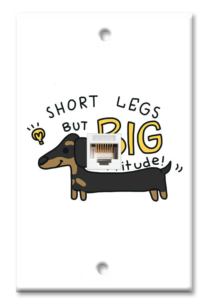 Dachshund - Short Legs, Big Attitude - #2915