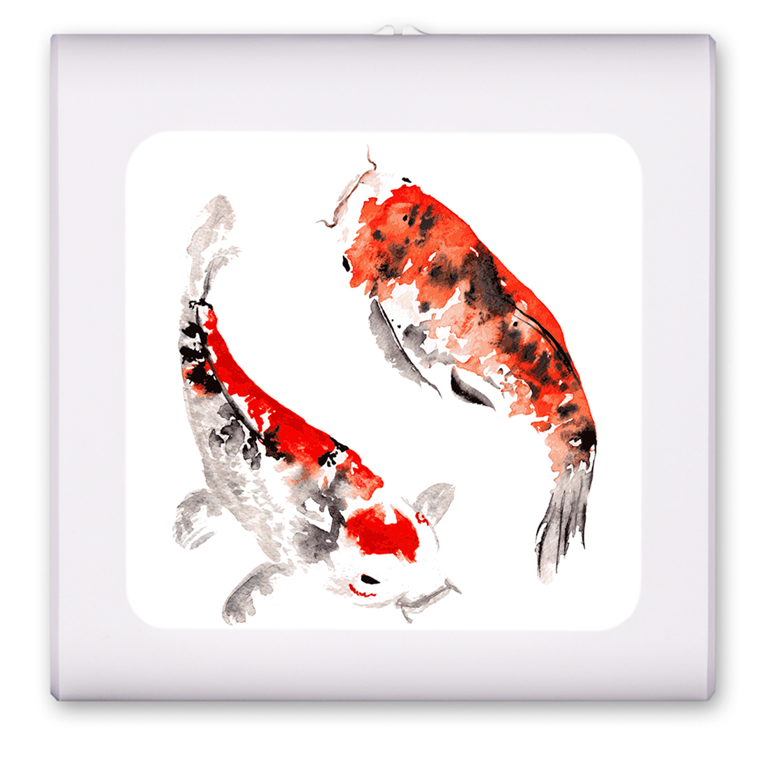 Watercolor Koi - #2920