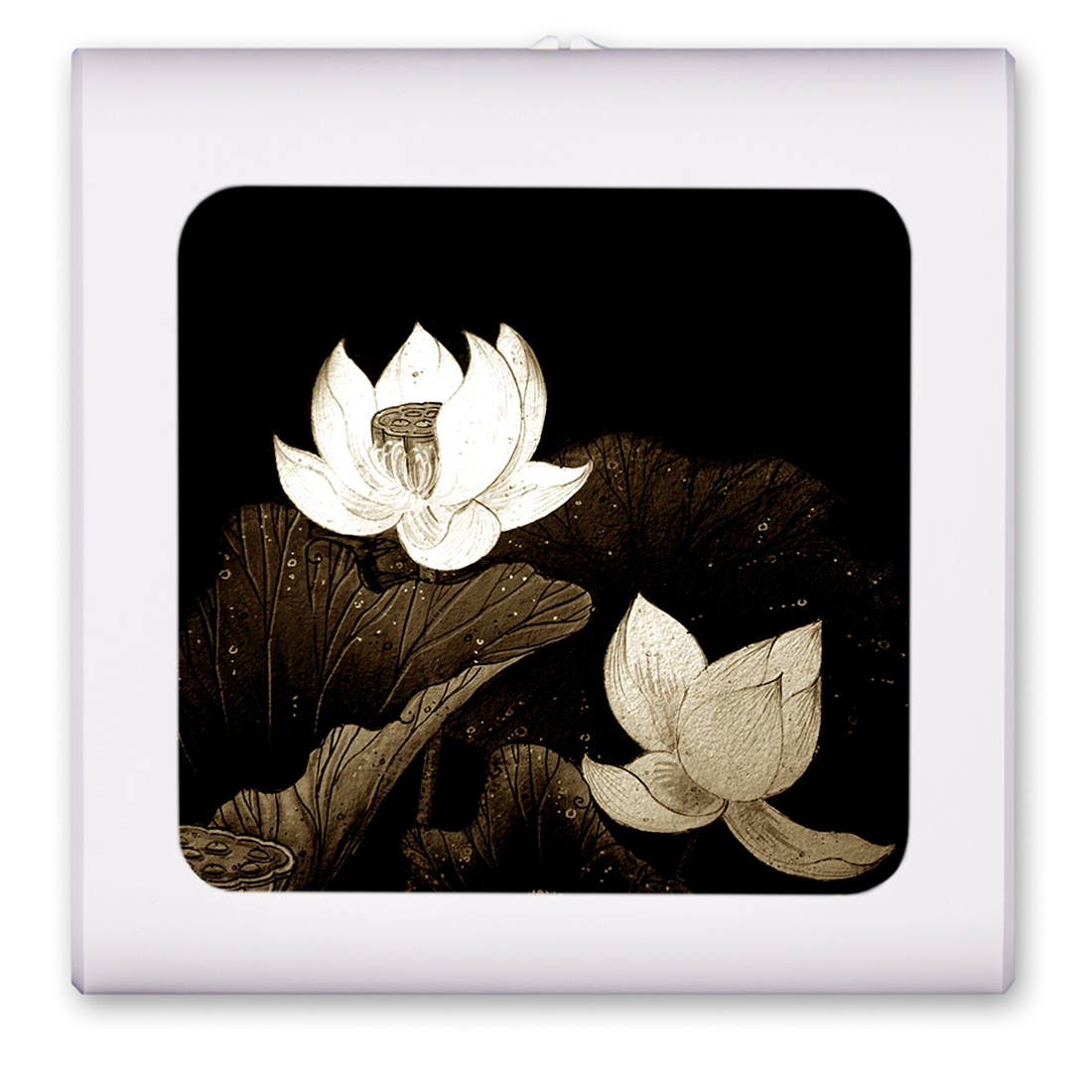 Black and White Flowers - #2926