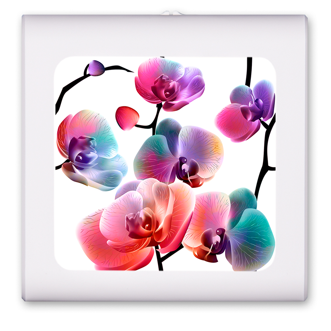 Colorful Graphic Floral Art - #2939