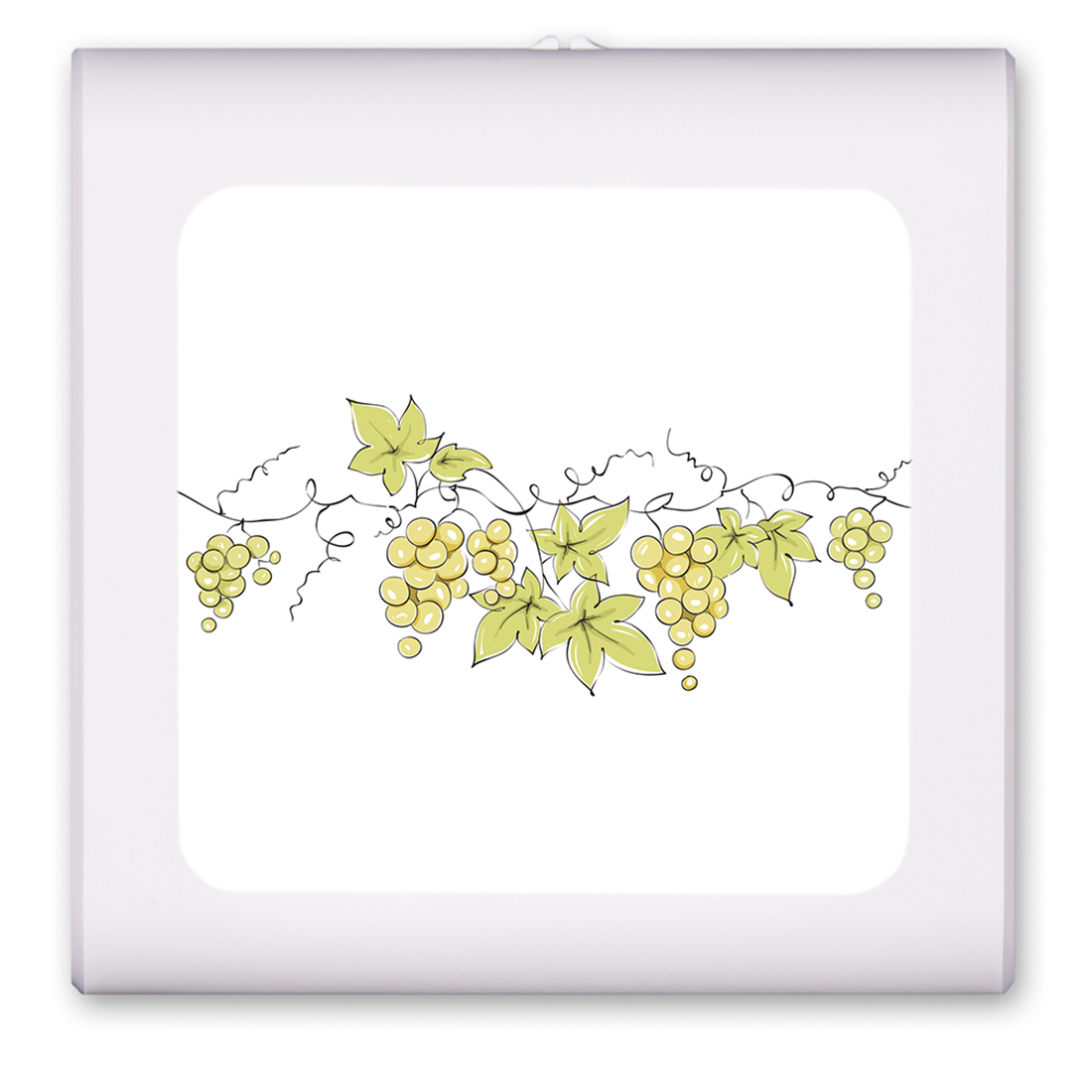 Grape Vine Drawing - #2976