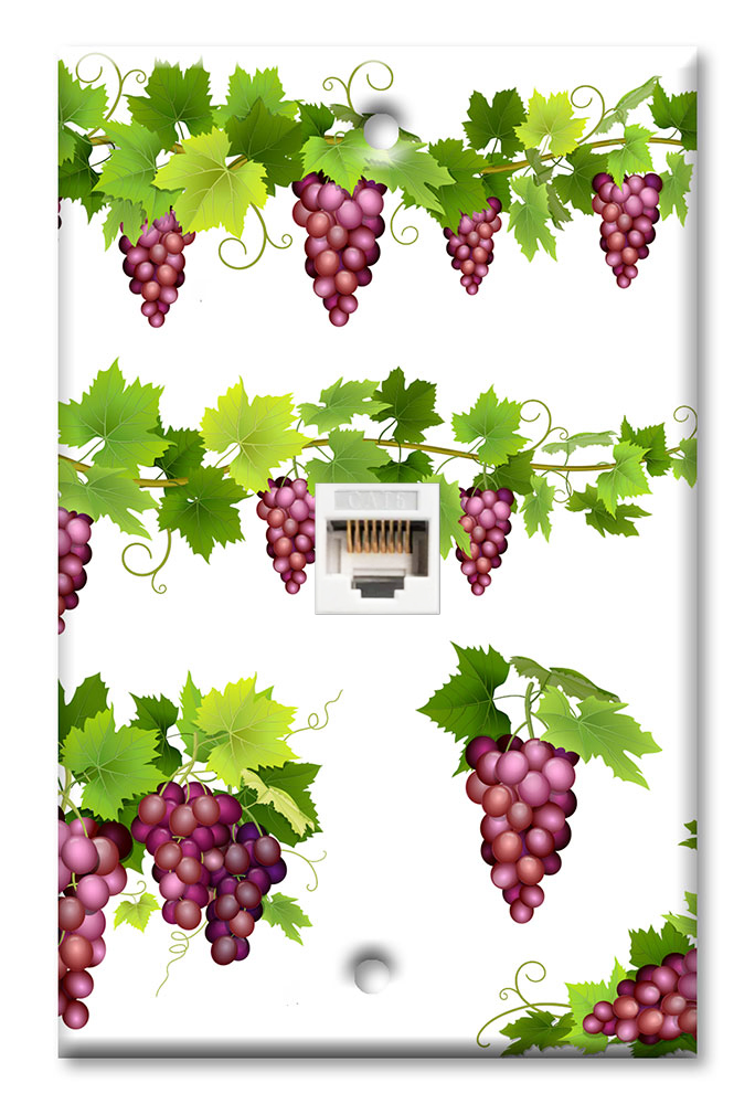 Purple Grapes on Vines - #2977