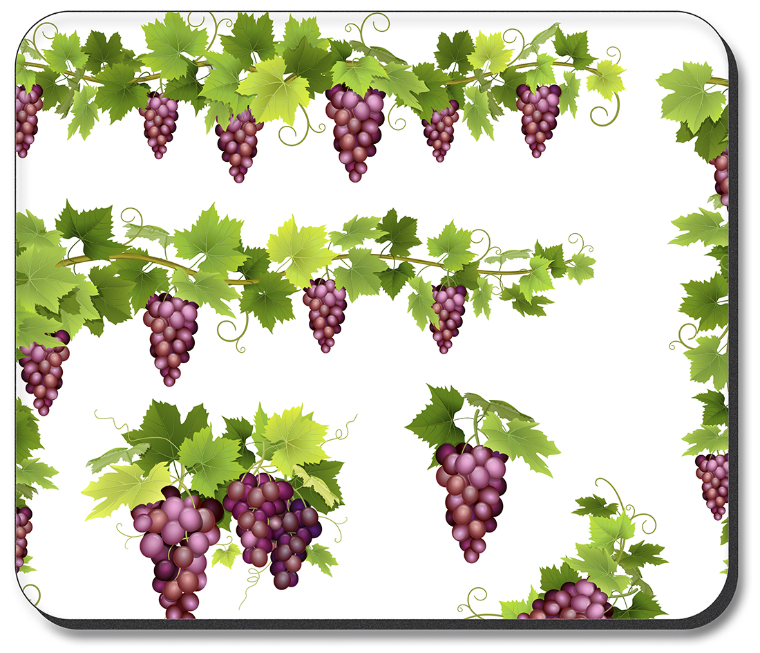 Purple Grapes on Vines - #2977