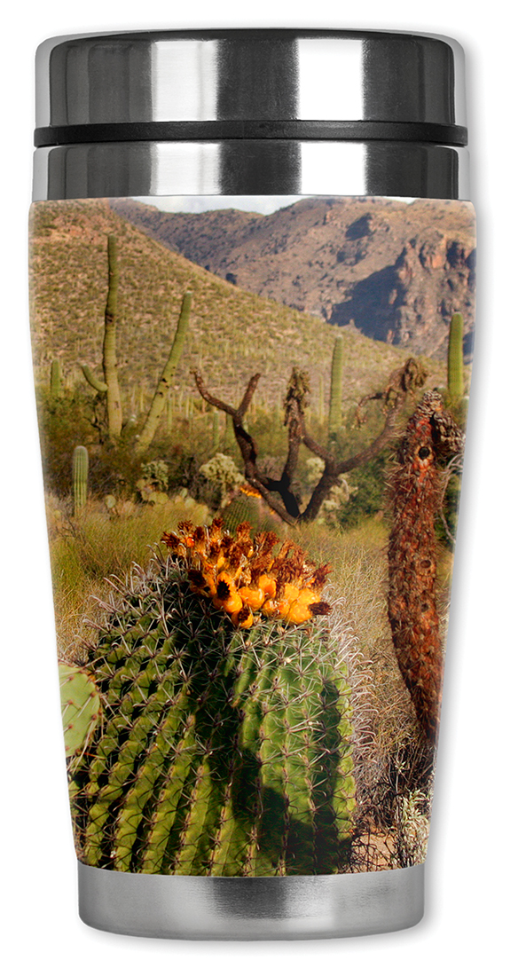 Desert Cactus - #3041