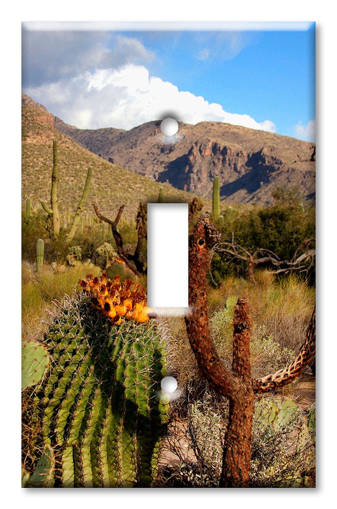 Art Plates - Decorative OVERSIZED Wall Plate - Outlet Cover - Desert Cactus