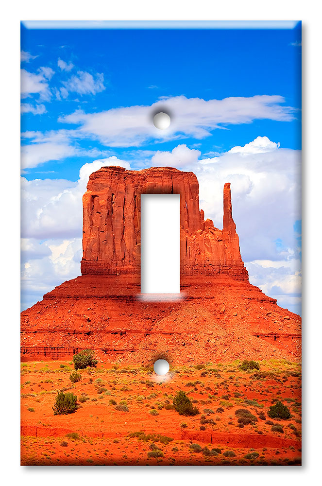 Art Plates - Decorative OVERSIZED Wall Plate - Outlet Cover - Desert Tower