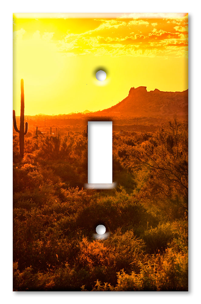 Art Plates - Decorative OVERSIZED Wall Plate - Outlet Cover - Desert at Dawn