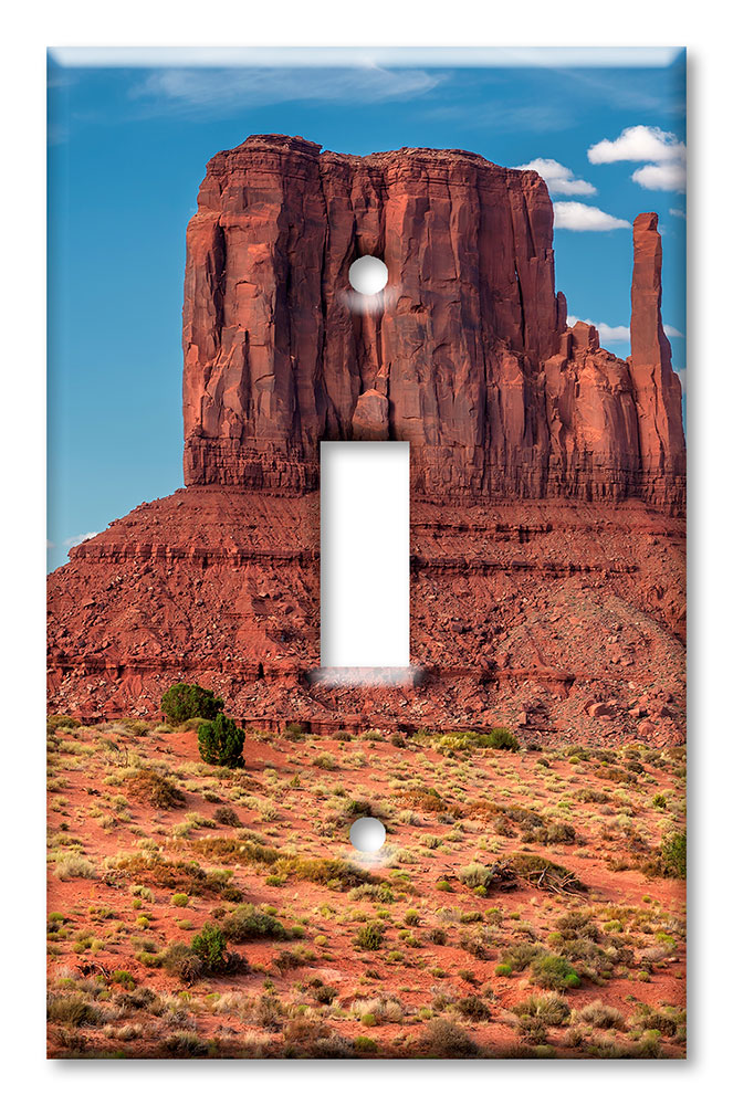 Art Plates - Decorative OVERSIZED Wall Plates & Outlet Covers - Close up of Desert Tower
