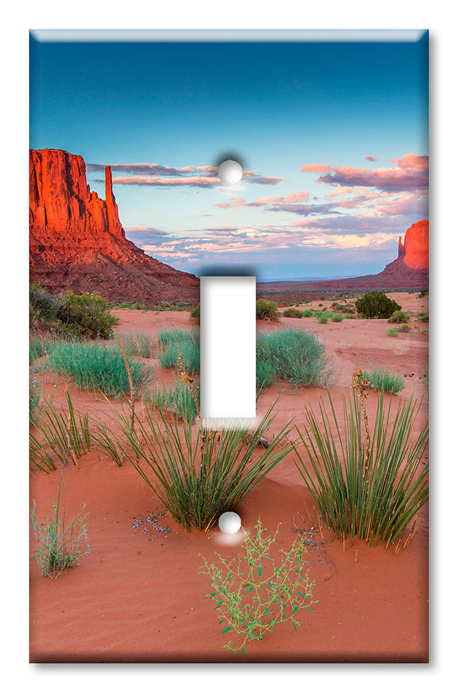 Art Plates - Decorative OVERSIZED Switch Plate - Outlet Cover - Smooth Sand Desert