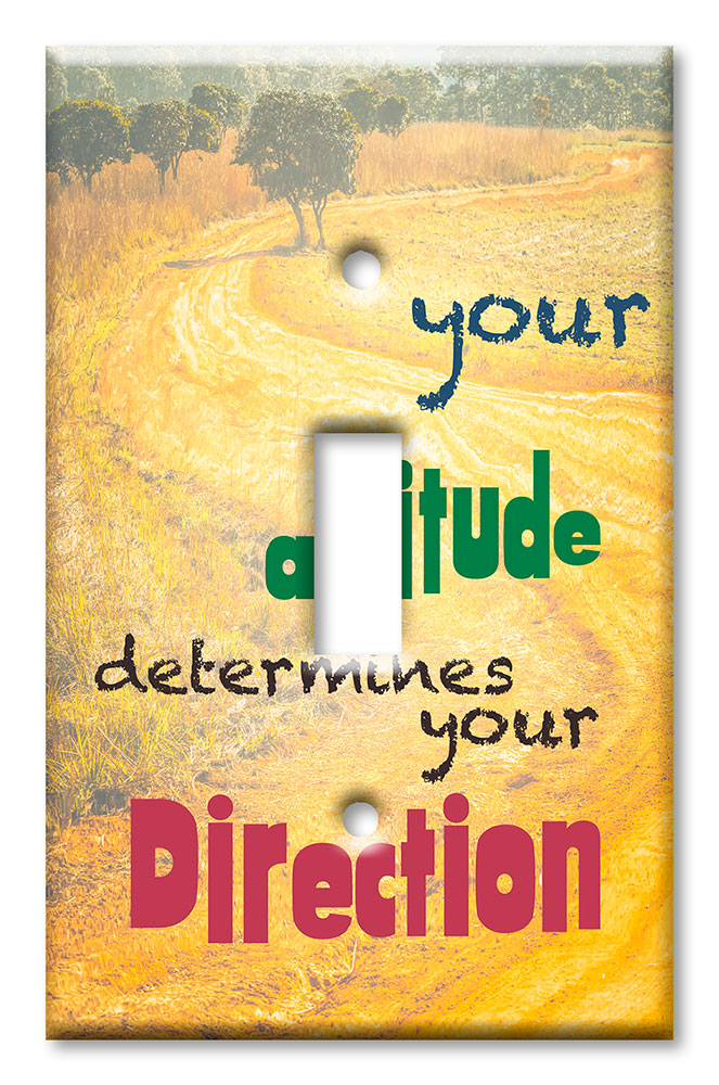 Attitude Determines Direction - #3056