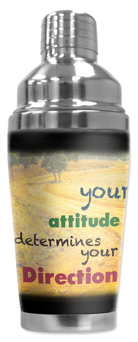 Attitude Determines Direction - #3056