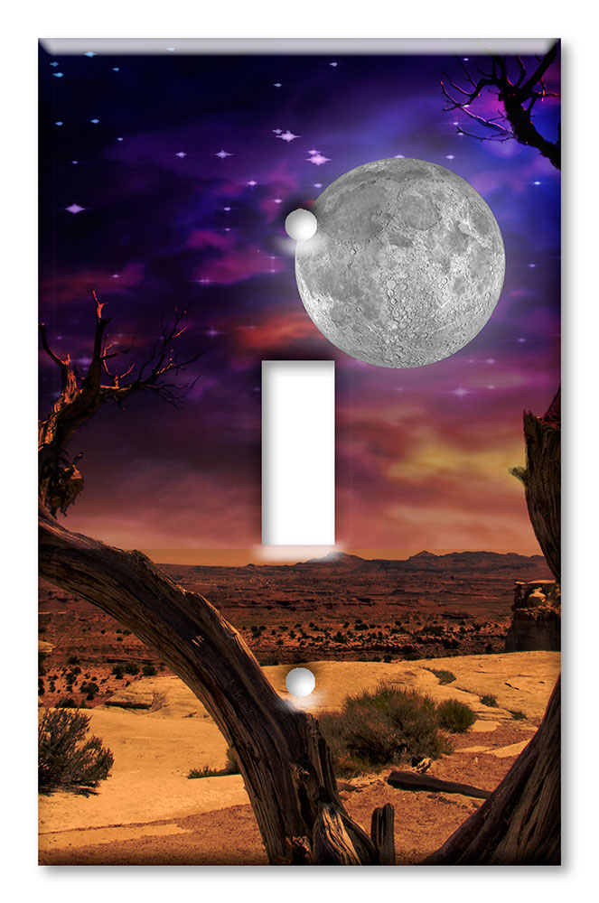 Art Plates - Decorative OVERSIZED Switch Plate - Outlet Cover - Space from the Desert