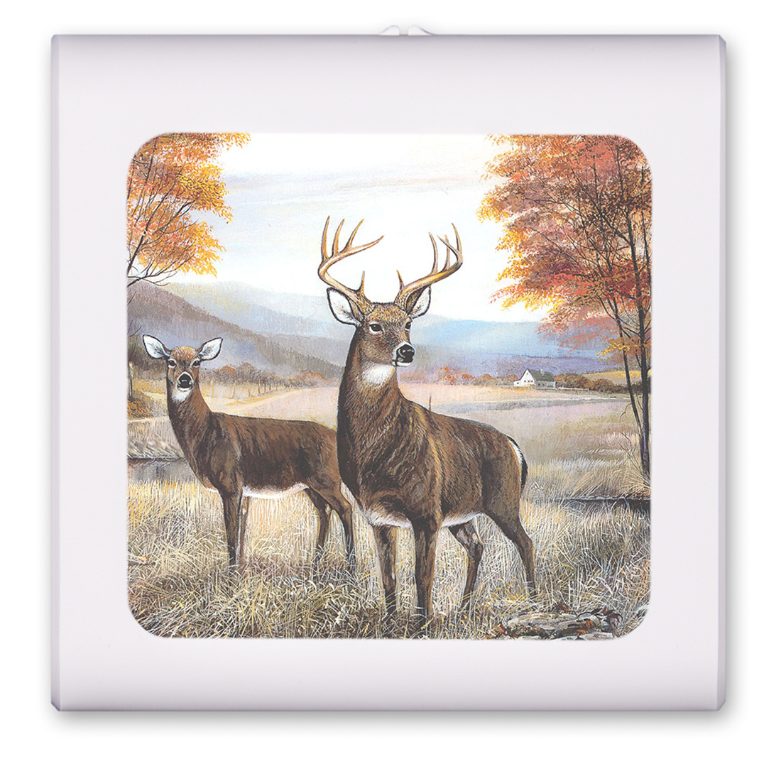 White Tail Deer Animal - #315