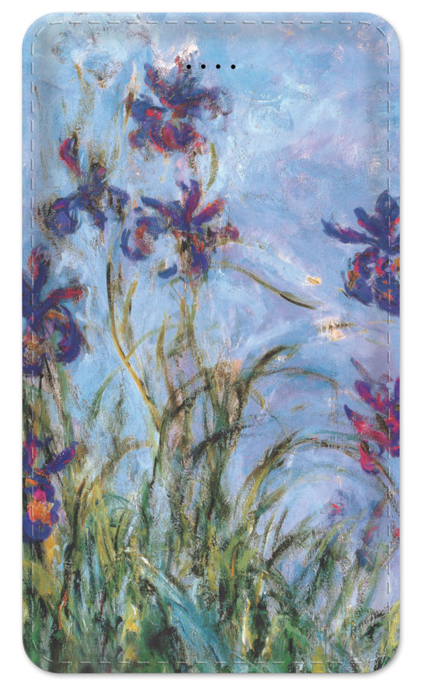 Monet: Irises - #328