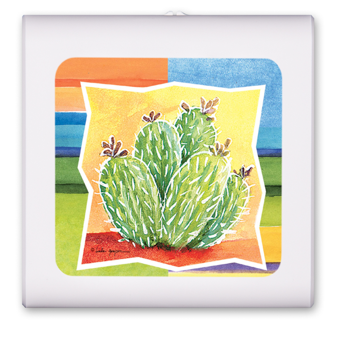 Cactus - #375