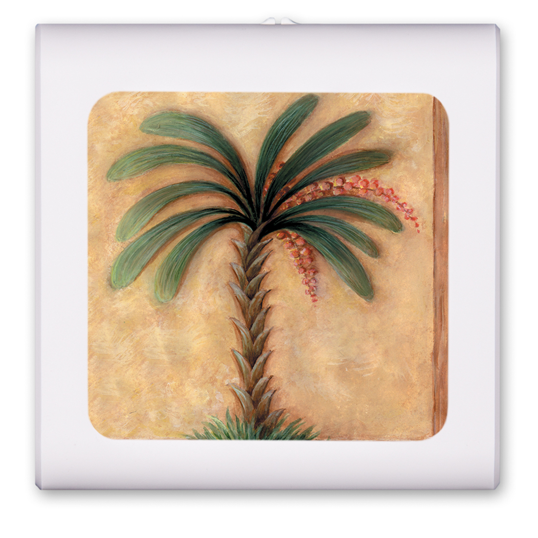 Palm - #381