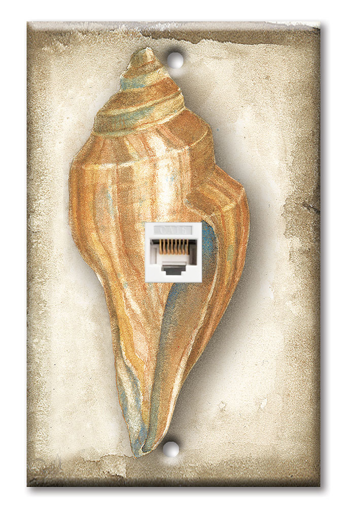 Sea Shell - #421