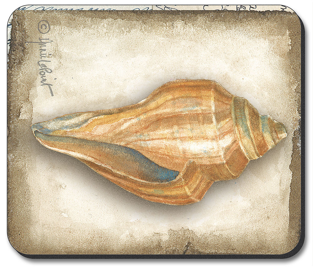 Sea Shell - #421
