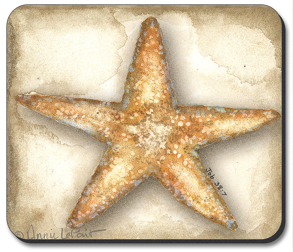 Star Fish - #422