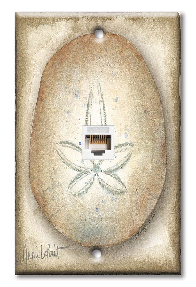Sand Dollar - #423
