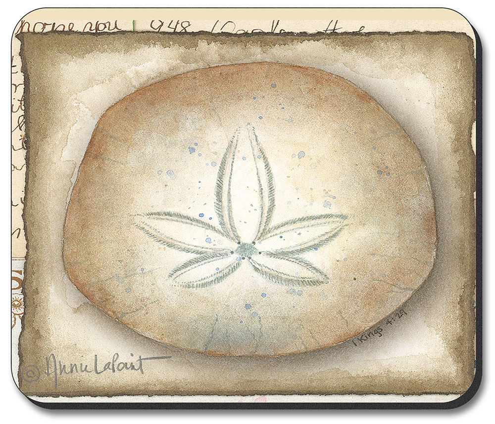 Sand Dollar - #423