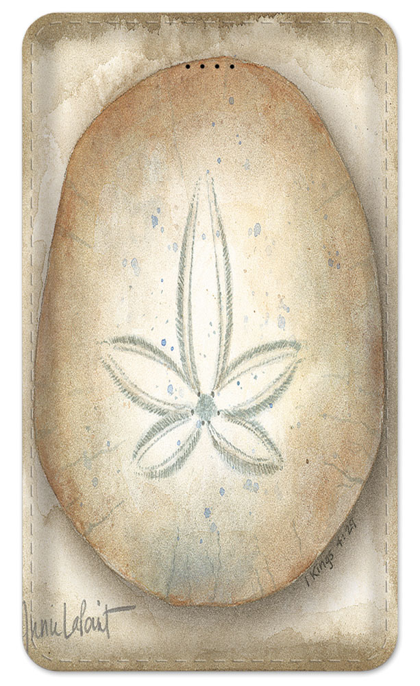 Sand Dollar - #423