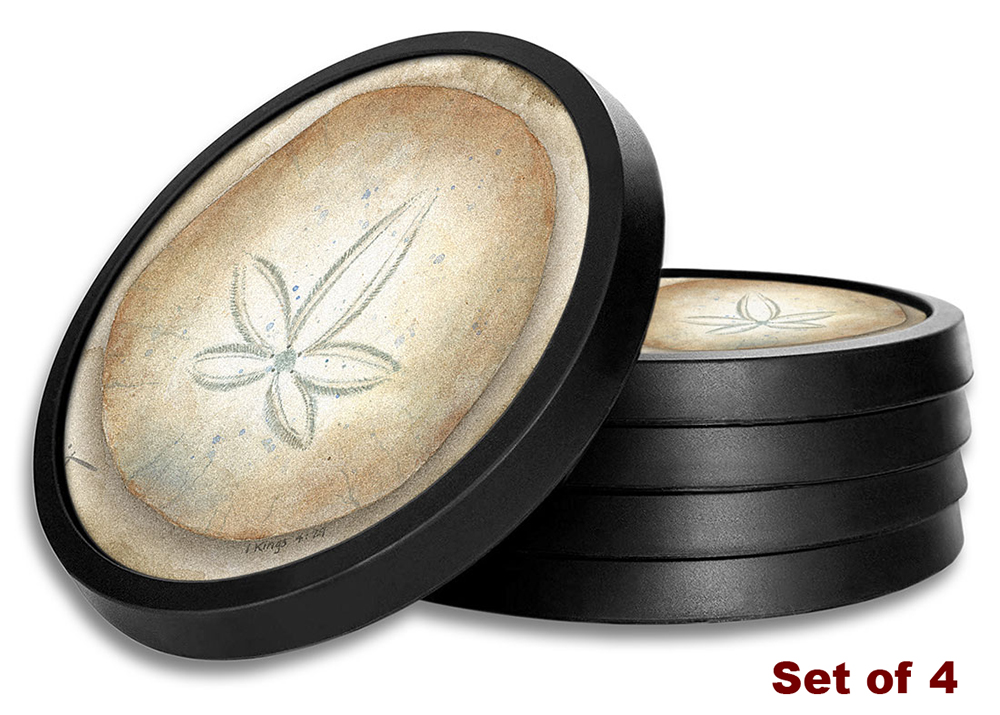 Sand Dollar - #423